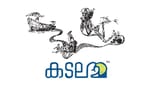 SPICE BAY TRADE AND EXIM