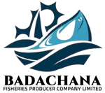 BADACHANA FISHERIES PRODUCER COMPANY LIMITED