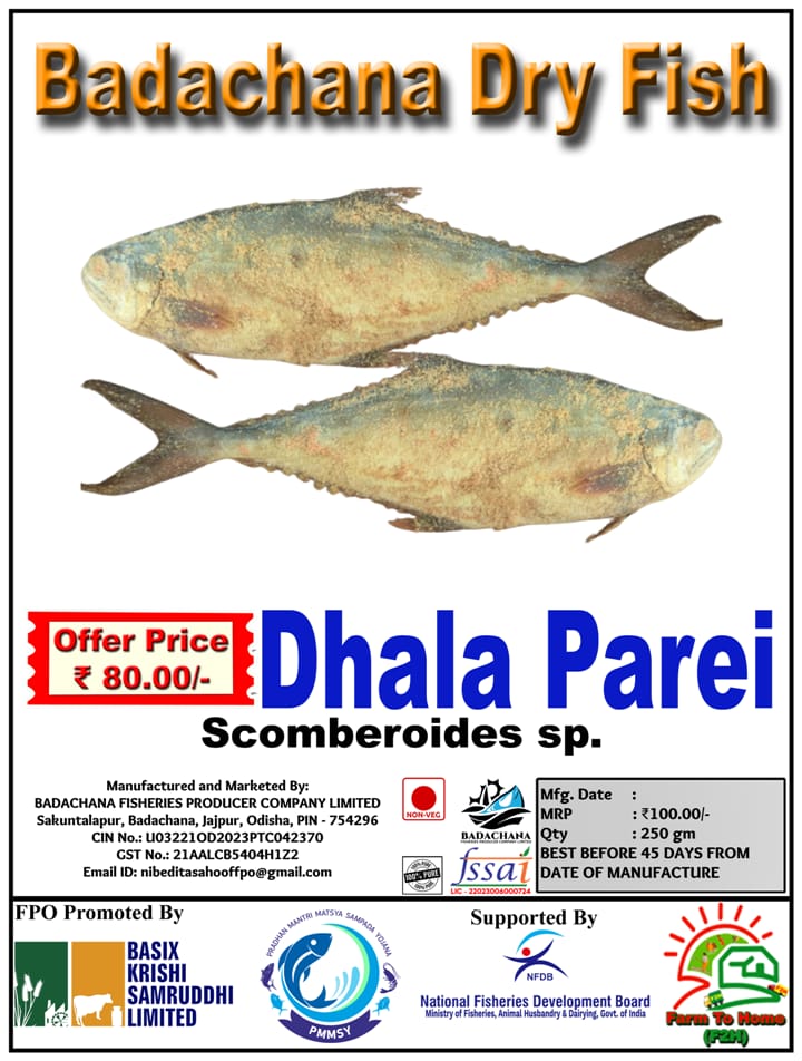 Dhala Parei | Scomberoides sp. | Badachana Dry Fish | 250gm