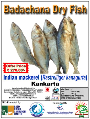 Indian mackerel (Rastrelliger kanagurta) | Kankarta | Badachana Dry Fish | 1Kg
