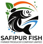 SAFIPUR FISH FARMER PRODUCER COMPANY LIMITED