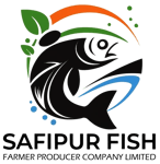 SAFIPUR FISH FARMER PRODUCER COMPANY LIMITED