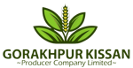 GORAKHPUR KISSAN PRODUCER COMPANY LIMITED GORAKHPUR KISSAN PRODUCER COMPANY LIMITED