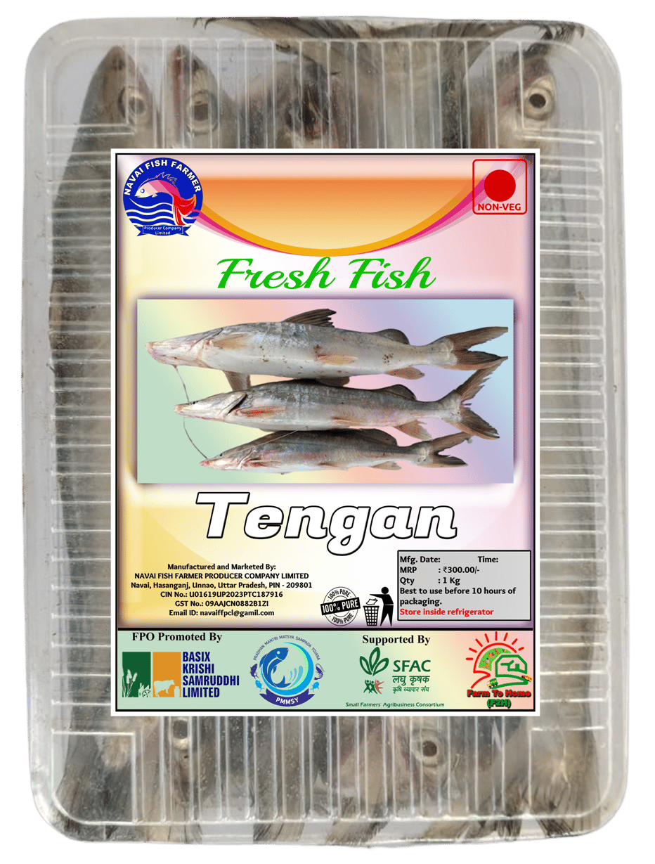 Tengan Fresh Fish | 1Kg