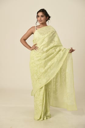 Ladies New Fashion Hand Chikan Saree | Light green