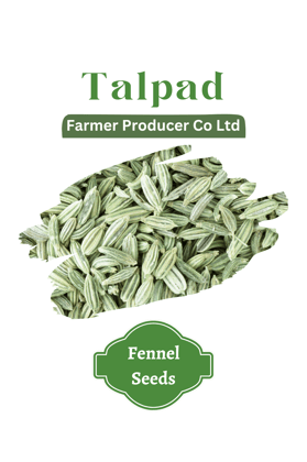 Talpad Fennel Seeds Talpad Fennel Seeds