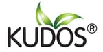 Kudos Laboratories India Limited