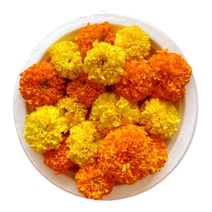 Fresh marigold flowers pack - Mixed