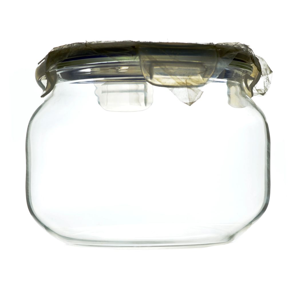 VERTIS Cook Store Serve Casserole Quad Lock Clear Airtight 2.0L - Cookware | Buy online on ZillyBuy