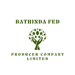 Bathinda FED Producer Company Limited