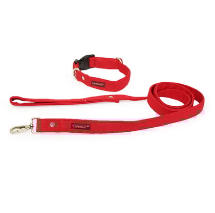Unique Dark Red Dog Collar & Leash Set