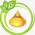 Saffala Kodur Farmer Producers Coop. Society Ltd.