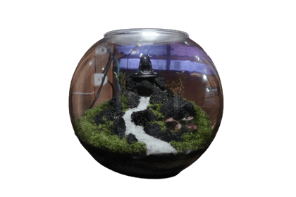 Aadi Yogi Terrarium