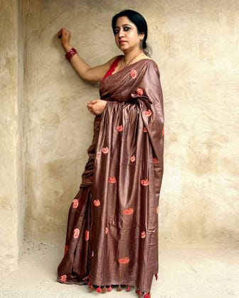 Silkmark Certified Pure Tussar Silk Embroidered Saree Coffee Brown Color with Embroidery Color Blouse (Tussar by Tussar)-7924