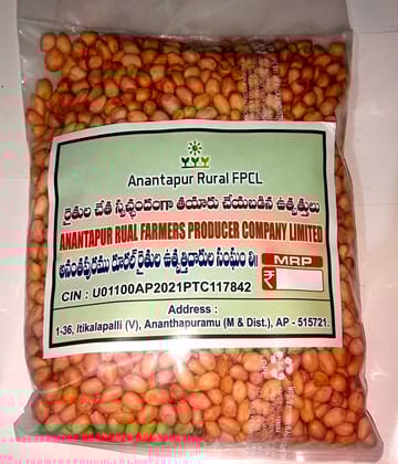 Groundnut