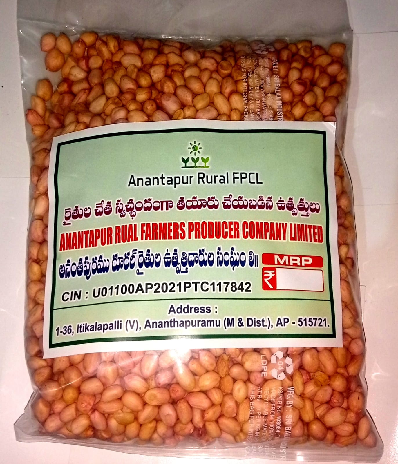 Groundnut