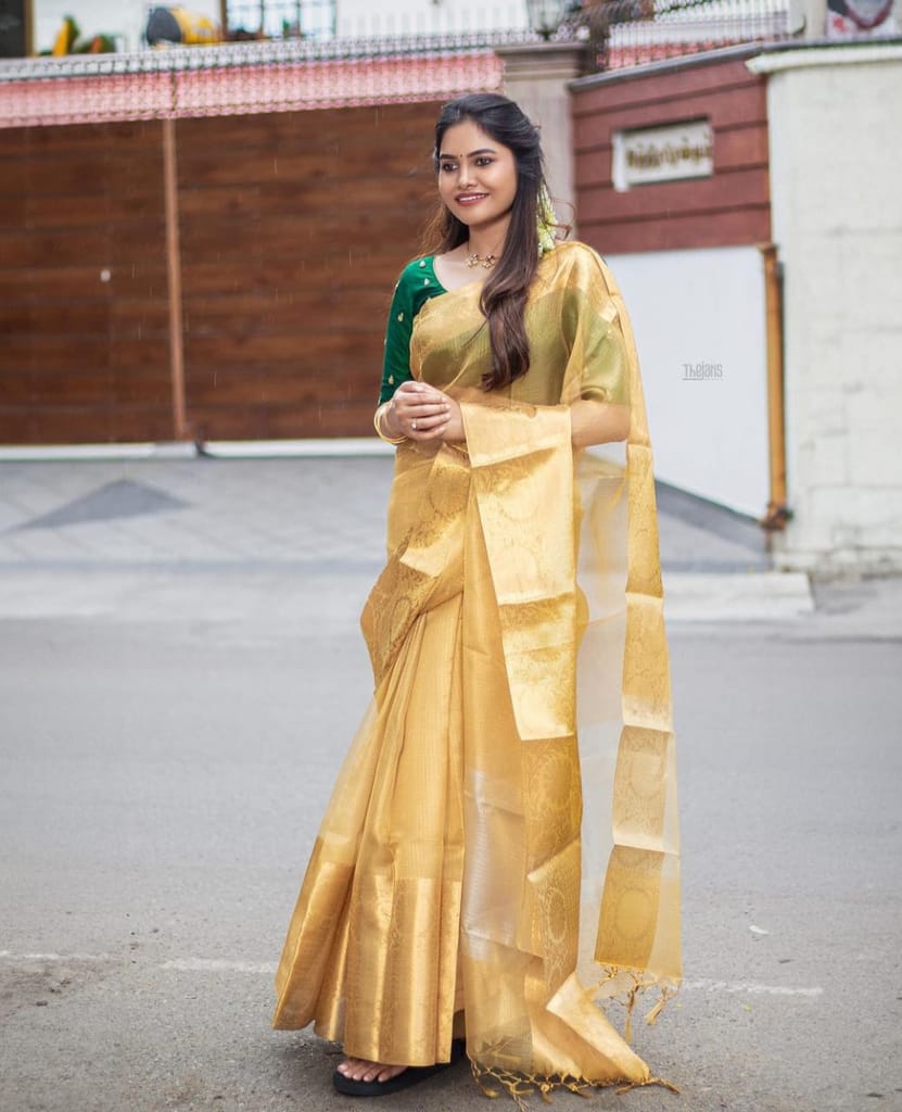 Tissue net Flower Skart Border Gold Saree.
