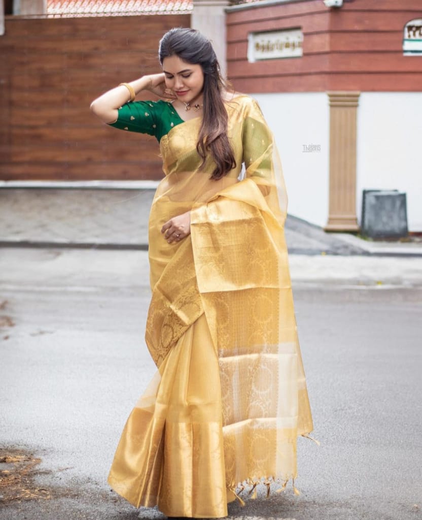 Tissue net Flower Skart Border Gold Saree.