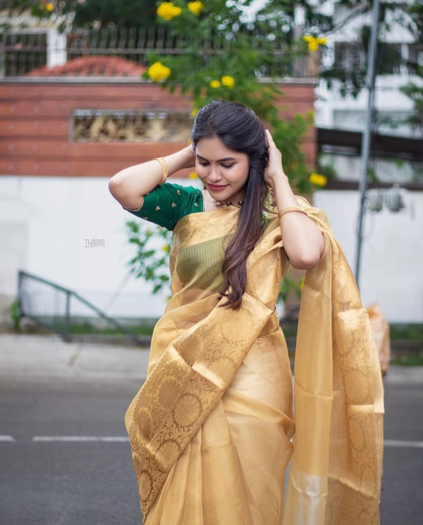 Tissue net Flower Skart Border Gold Saree.