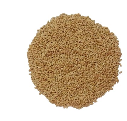 Wheat ( Gehoon) 1 kg