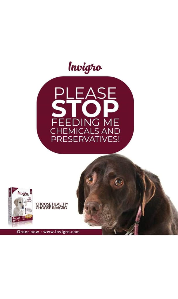 INVIGRO - Premium Non-Vegetarian Fish Meat Dry Dog Food (20 KG)