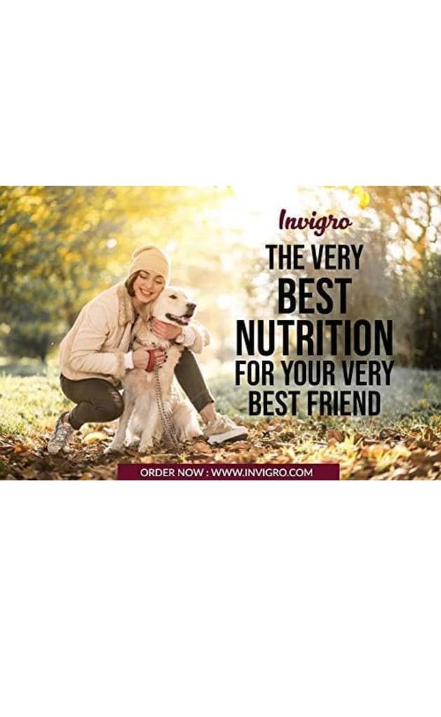 INVIGRO - Premium Non-Vegetarian Fish Meat Dry Dog Food (20 KG)