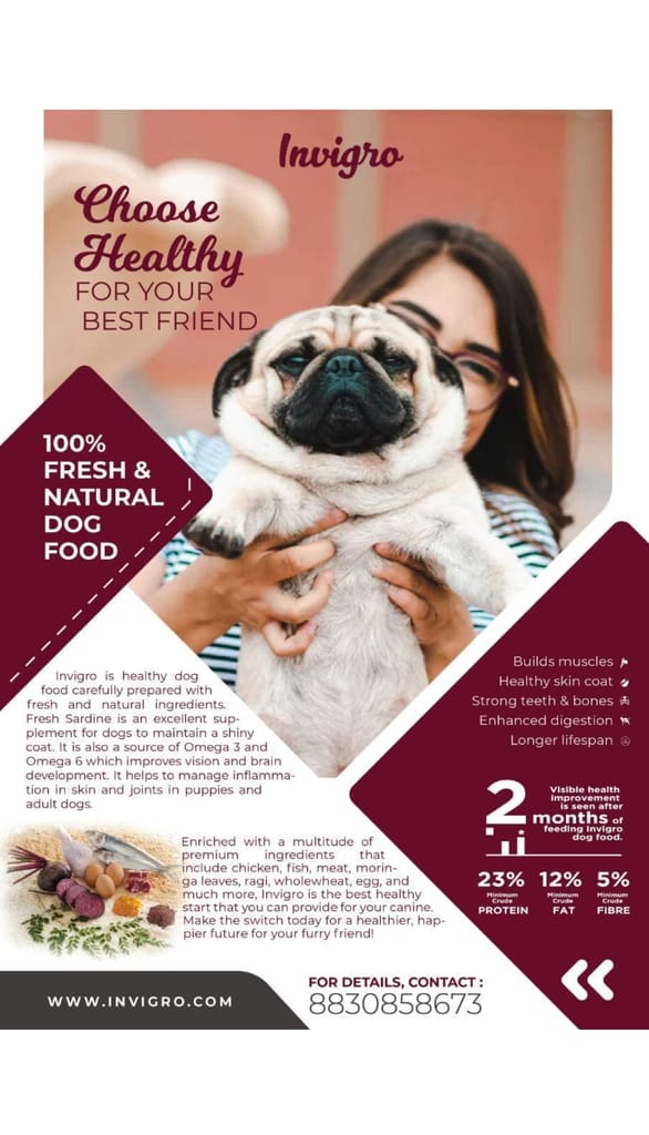 INVIGRO Puppy Chicken Fish Milk Dry Dog Food, 1.2 KG Pack