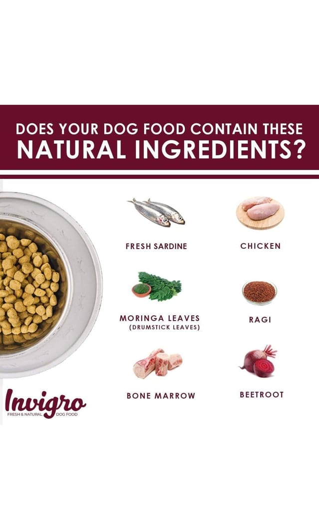 INVIGRO Puppy Chicken Fish Milk Dry Dog Food, 1.2 KG Pack