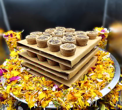 Gaukosh Hawan Cup Filled  Cow dung Cups Panchgavya Natural Sambrani/Loban/Guggal/Hawan samagri II Natural Organic Hawan Cups  For Puja II Pack of 1 (60 pcs)
