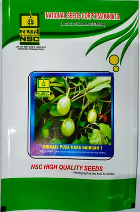 NSC Brinjal Seed, Variety: Pusa Hara Baigan-1, 25 gm