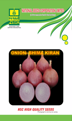 NSC Onion Seed, Variety: Bhima Kiran, 250 gm