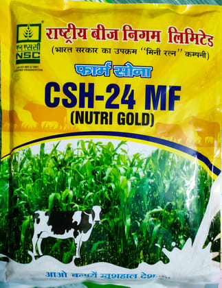 NSC Fodder Sorghum CSH-24 MF (Nutri Gold) , 2 Kg