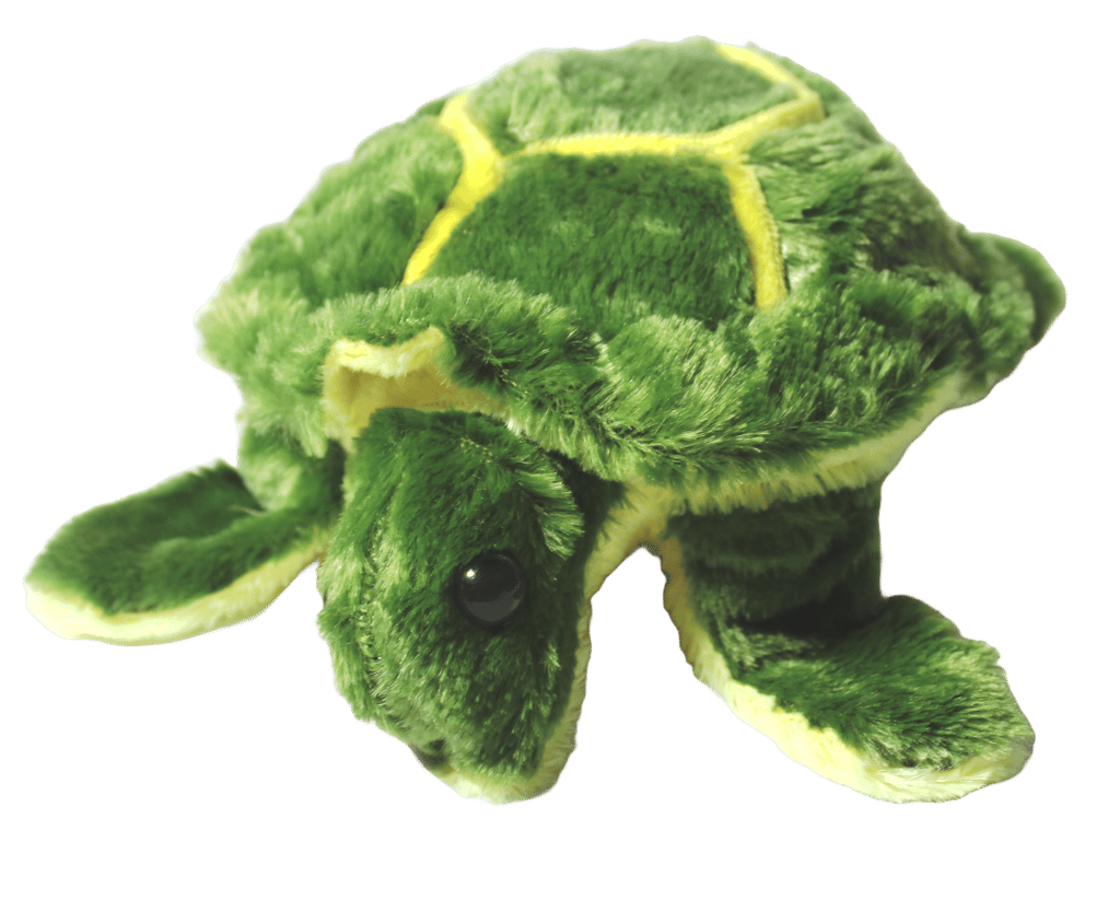 DyneJoy Cuddly Kachua Plush Toy - Adorable, Soft, Washable, Great Gift Idea, Lifelike Colors.(Pack of 1) - Toys and Games | Buy online on ZillyBuy