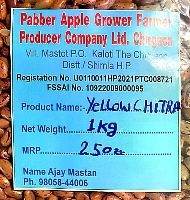 Yellow Chitra Rajma