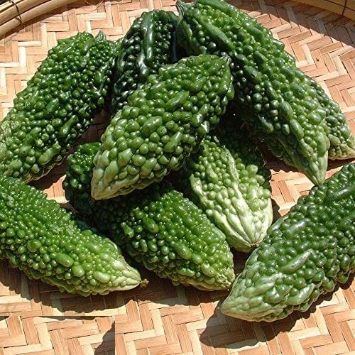 Biocarve Bitter Gourd Seeds -Pack of 20 seeds
