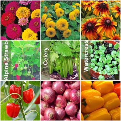 Biocarve Assorted Seed Kit - Set of 9 Varieties 3 Flowers- Rubbeckia, Sunflower, Zinnia; 3 Vegetable-Yellow Capsicum, Onion, Red Capsicum 3 Herbs-Alpine Strawberry, Celery and Watercress