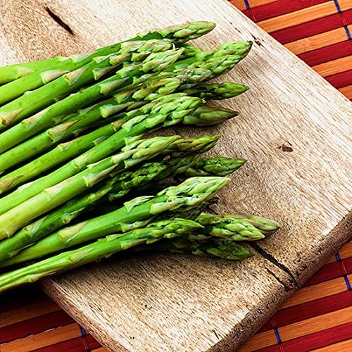 Biocarve Seeds Winter Herb Seeds for Home & Terrace Gardening | Indoor & Outdoor Winter Herb Seeds (Asparagus-NM)