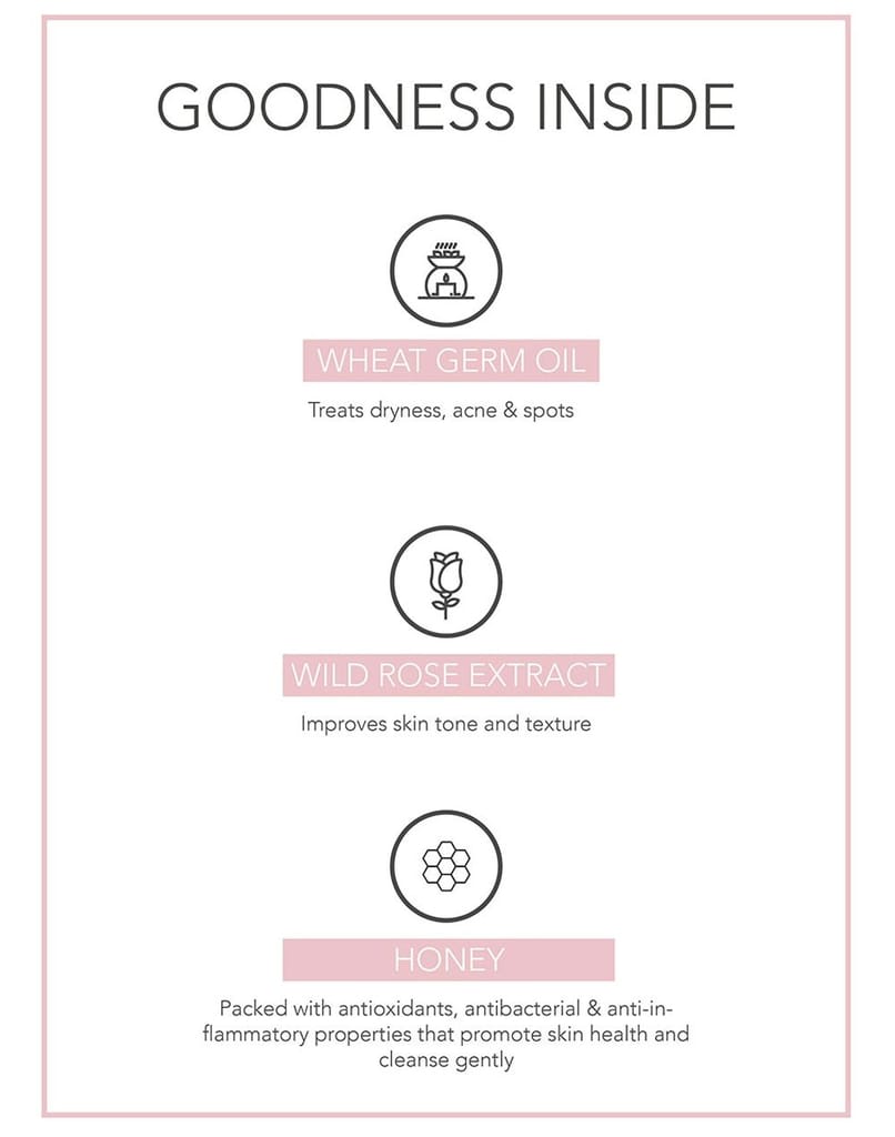 Fabessentials Wild Rose Wheatgerm Honey Face Wash | with 100% Organic Steam Distilled Rose Water to clear complexion of leftover impurities | Refreshing, Hydrating & Comforting | Banishes Dryness & Dullness | for Normal to Dry Skin - 100 gm