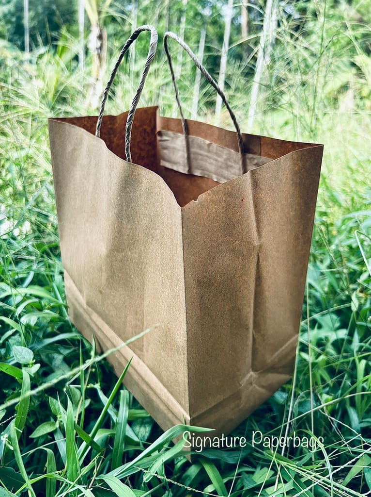 Signature's Paper Bags - Stationery | Buy online on ZillyBuy