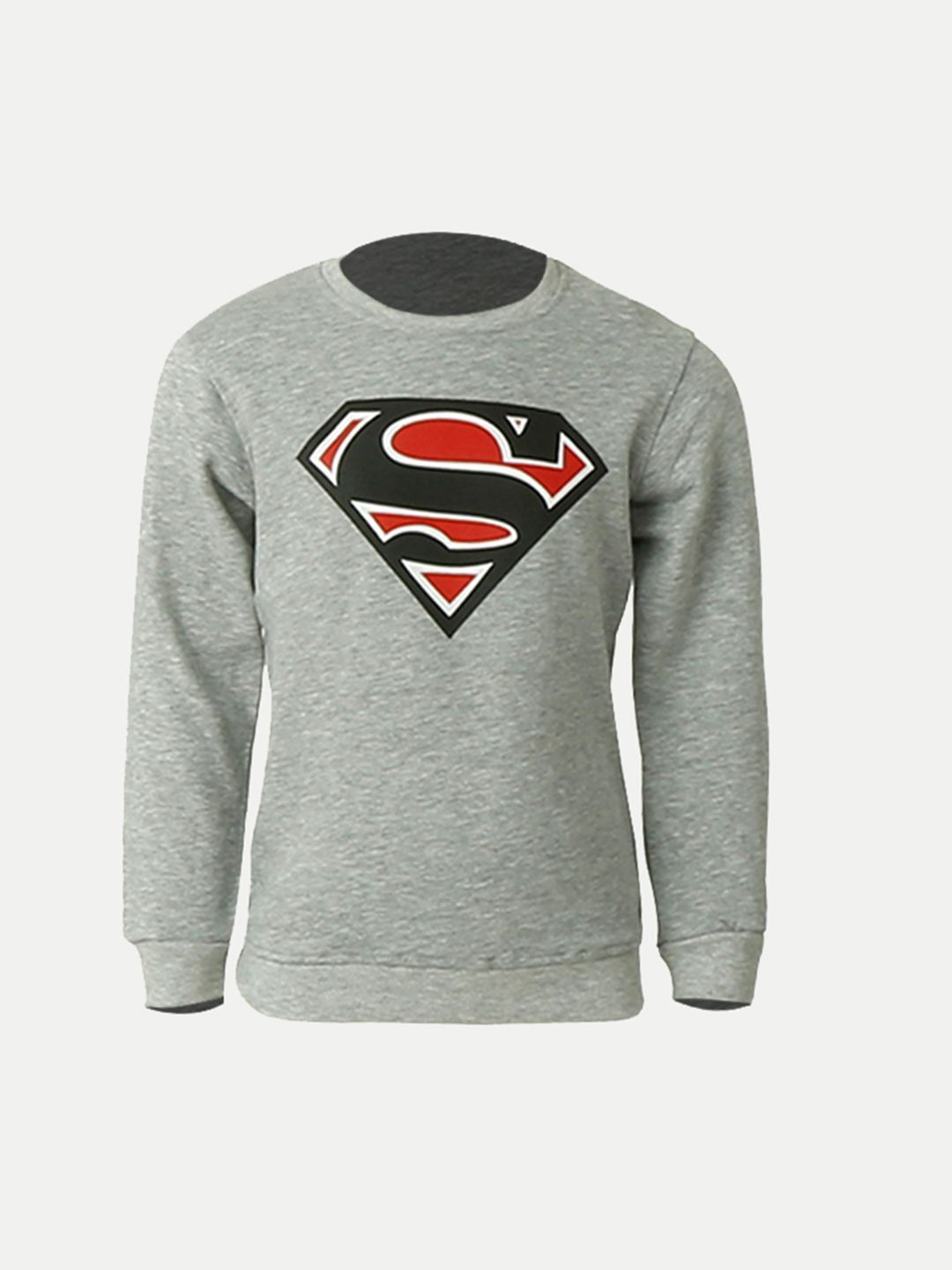 Teen Boys Light grey Graphic Printed Sweatshirt
