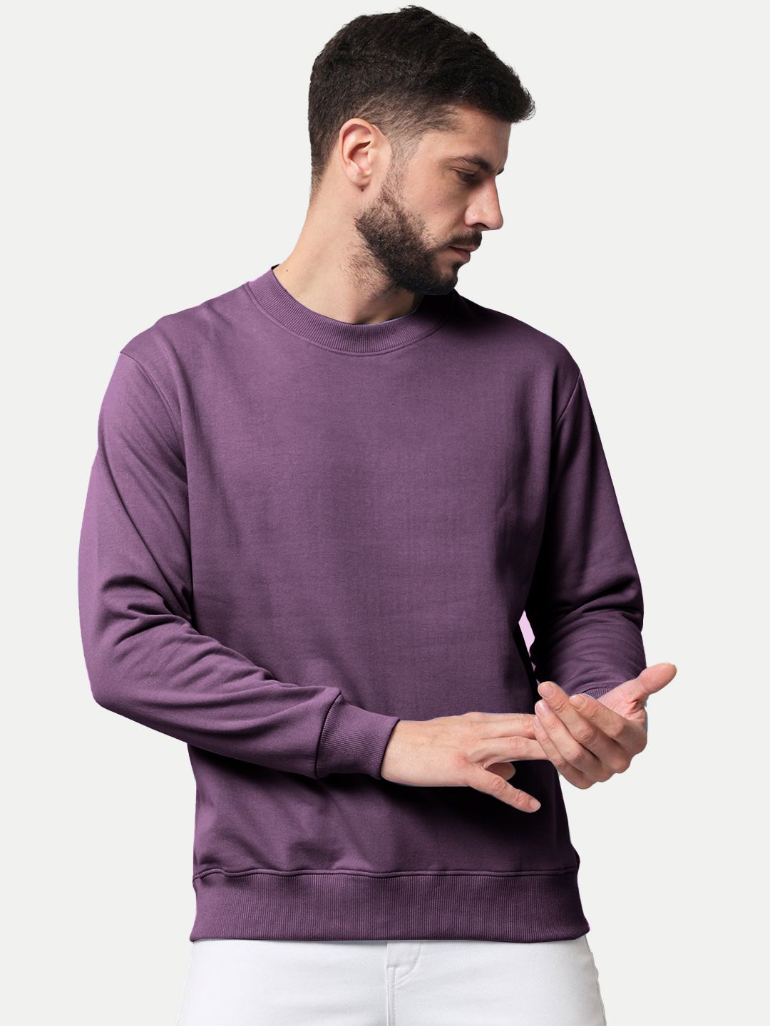 Men Solid Purple Regular Fit Pullover Sweatshirt
