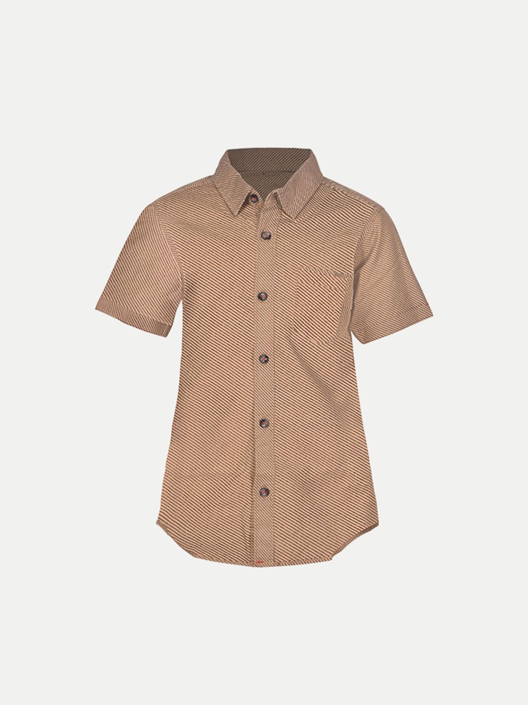 Boys All-over Printed Blossoms Brown Shirt