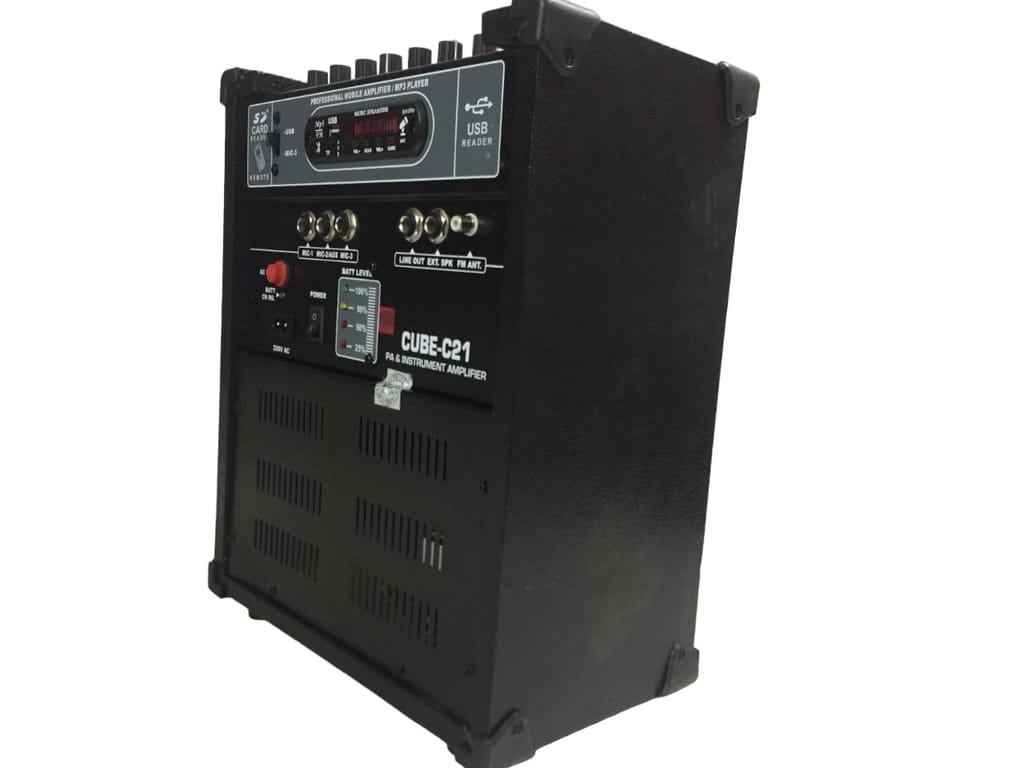 Cube  C- 21 Amplifier