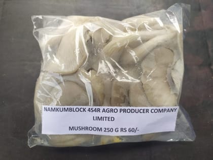 Mushroom Mushroom