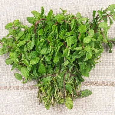 Mint Leaves - Cleaned, without roots, 1 kg
