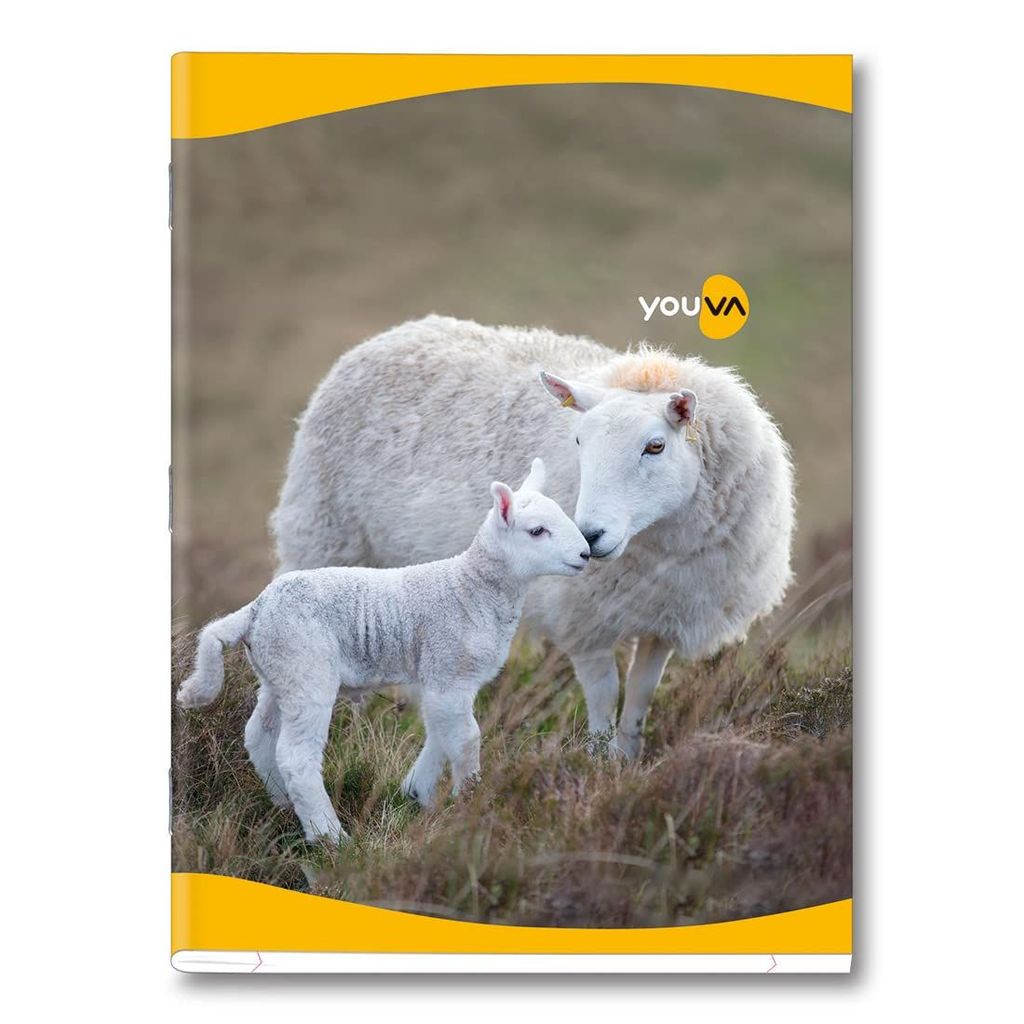 Navneet Youva | Soft Bound Note Book for Students | Jumbo Size 18 cm x 23.5 cm | Unruled | 24 Pages | Pack of 24 - Stationery | Buy online on ZillyBuy
