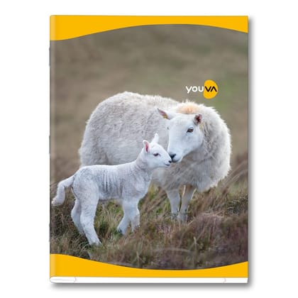 Navneet Youva | Soft Bound Note Book for Students | Jumbo Size 18 cm x 23.5 cm | Unruled | 24 Pages | Pack of 24