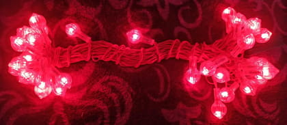 Red LED Lighting/Rice Lights/String Lights/Fairy Lights with Constant Function, 9.3 Meter Length & 35 LED Bulbs