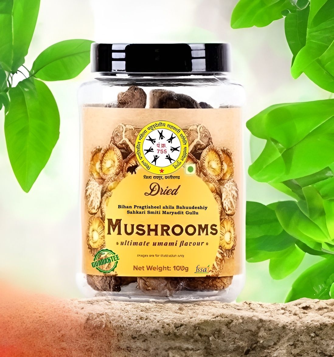 Dried Mushroom 100g