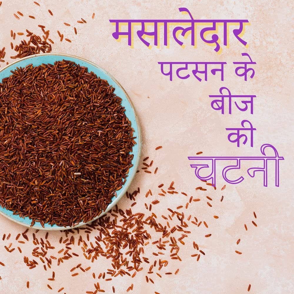 JAYASHRI HOMEMADES Flax Seed Chutney | Homemade and Healthy | Jawas Chutney | Alsi Chutney | 250 GMS